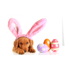 Load image into Gallery viewer, Some Bunny Loves You - Dog - Easter Greeting Card